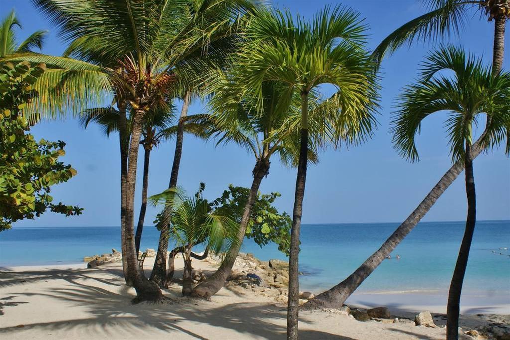 Siboney Beach Club St. John's Esterno foto
