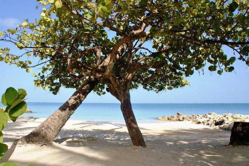 Siboney Beach Club St. John's Esterno foto